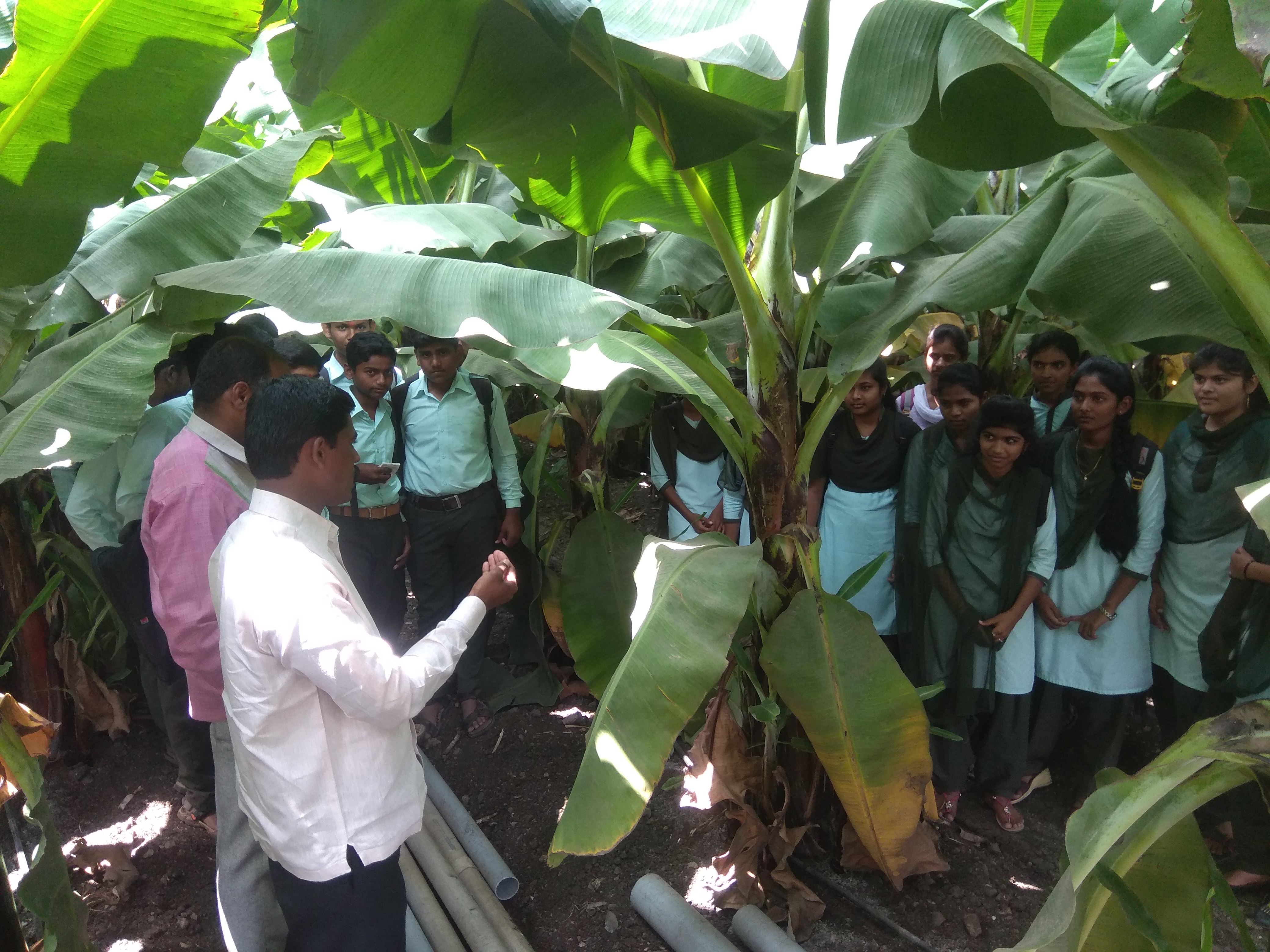 Field visit of agri. student